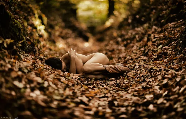 Trees, pose, foliage, Nude, trees, bokeh, nude, autumn forest