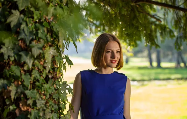 Leaves, branches, Lucica