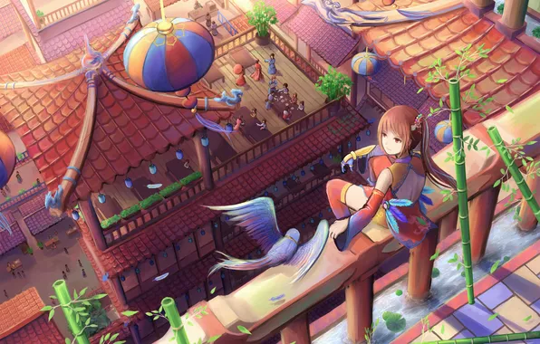 Picture roof, girl, the city, people, bird, home, anime, art
