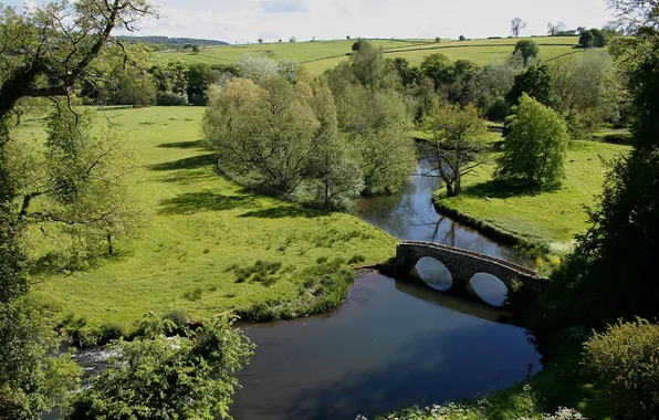 Greens, Water, Nature, Photo, Bridge, Grass, Trees, River