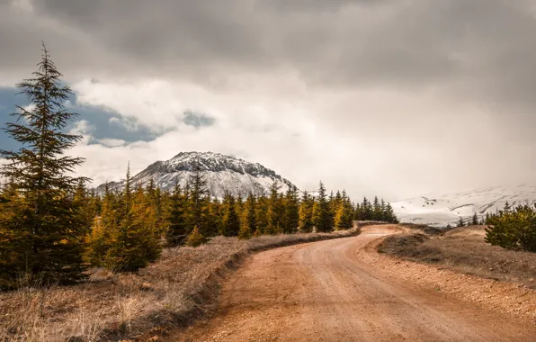 Picture road, mountains, nature