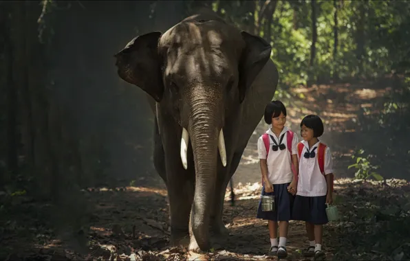 Mood, girls, two, elephant, Indonesia, Schoolgirls, trio, girls