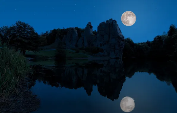 Grass, stars, trees, landscape, night, nature, lake, darkness