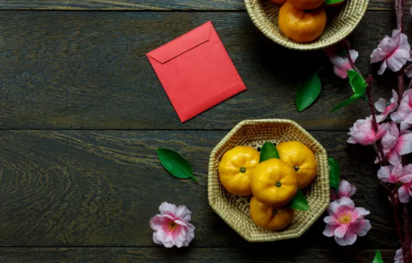 Flowers, background, tangerines, citrus