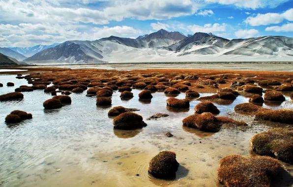 Picture the sky, water, clouds, mountains, stones, Pamir