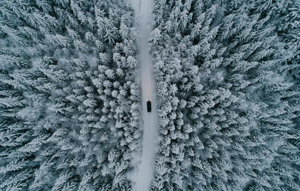 Picture winter, road, machine, forest, snow, trees, nature, the view from the top
