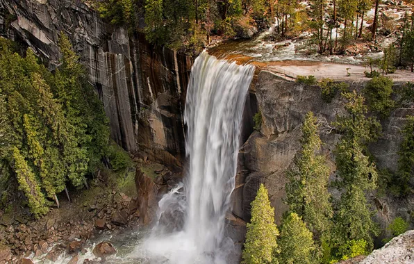 Picture forest, trees, landscape, mountains, nature, rock, waterfall, plants