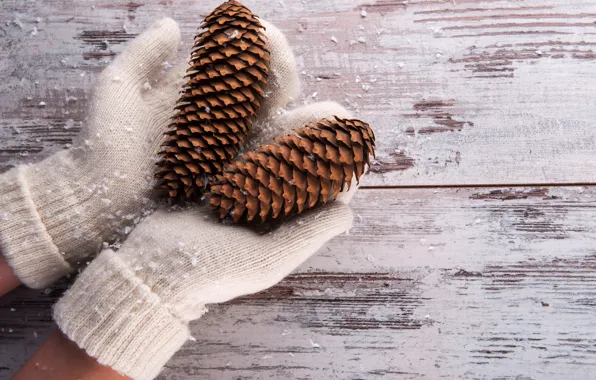 Winter, Christmas, hands, christmas, new year, merry christmas, Merry Christmas, gloves