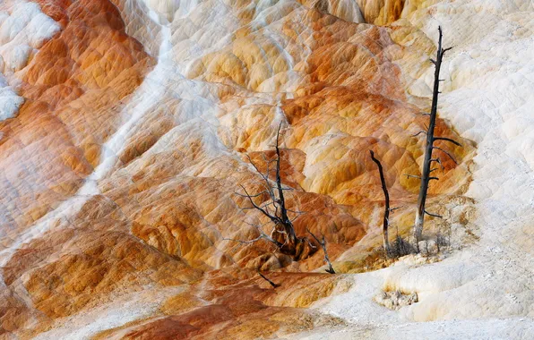 Trees, mountains, nature, rocks
