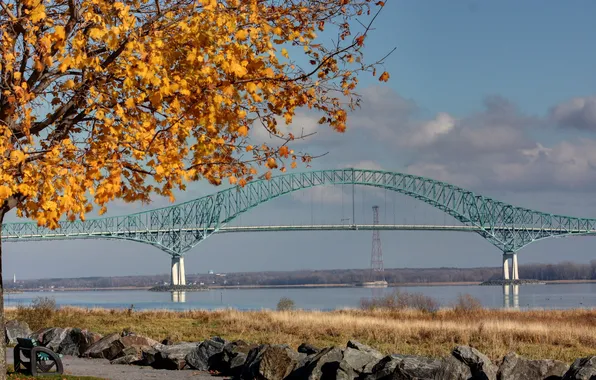 Picture autumn, photo, city, bridges, benches, benches, autumn Wallpaper