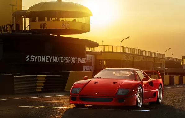 Red, F40, Sydney Motorsport Park
