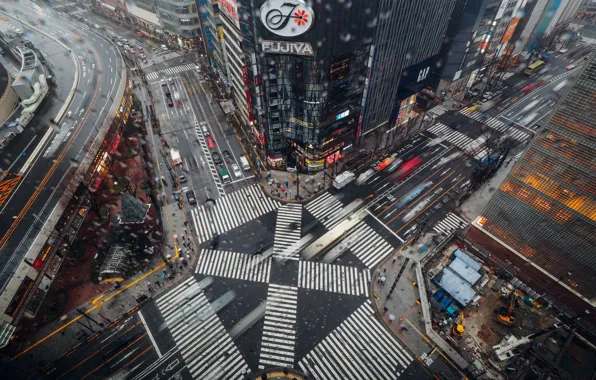Picture street, movement, the view from the top, the city, building
