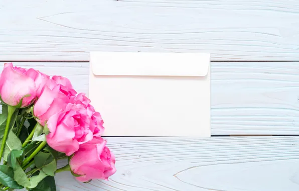 Flowers, roses, pink, fresh, wood, pink, flowers, roses