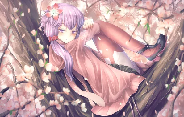 Girl, flowers, smile, tree, anime, Sakura, art, vocaloid