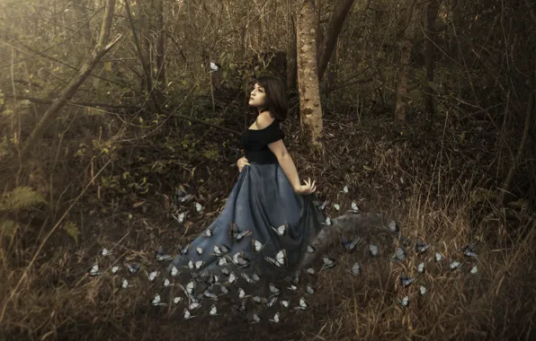Forest, girl, butterfly, the situation
