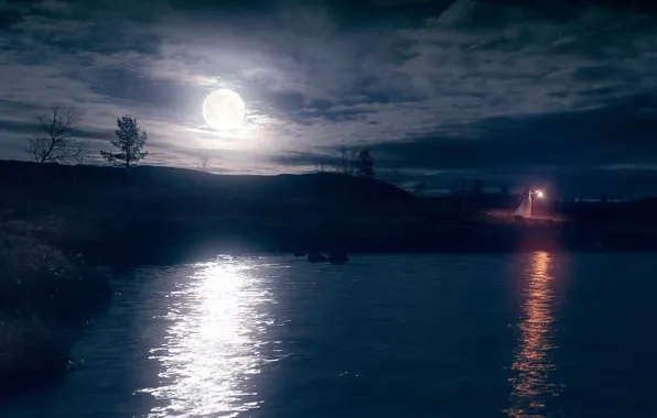 Picture the sky, girl, night, nature, the moon, shore, dress, lights