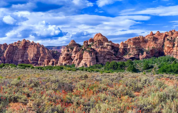 Picture clouds, landscape, rocks, Utah, USA, Kolob Canyon