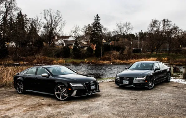 Nature, Audi, two, black, RS7