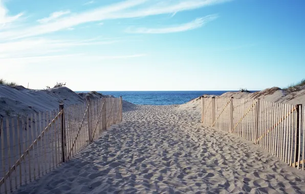 Sea, beach, horizon, track