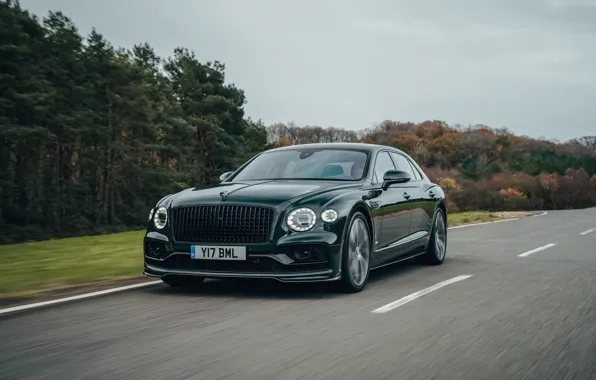 Road, trees, speed, Bentley, Flying Spur, 2020, V8, 2021