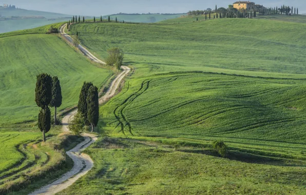 Road, trees, line, house, strip, hills, field, dal