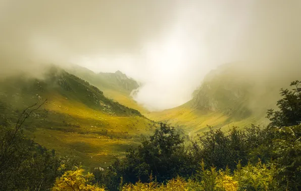 Trees, mountains, fog, valley, Italy, Piedmont, Briga Alta