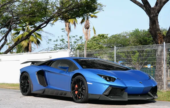 Picture Lamborghini, Aventador, Novitec, Torado