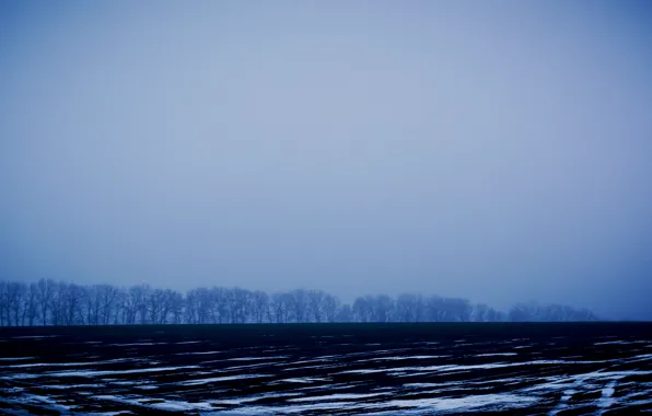 Winter, field, snow, trees, strips, Ukraine