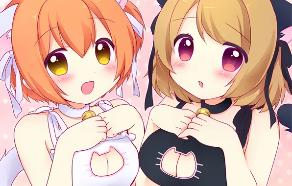 Sexy, lingerie, bra, cleavage, girls, boobs, animal ears, anime