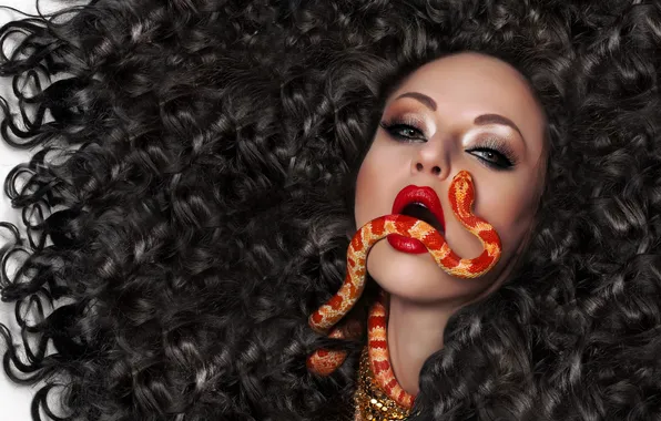 Picture look, girl, face, model, hair, snake, makeup, lips