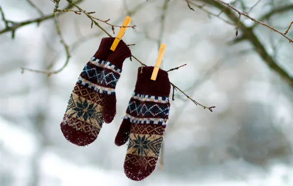 SNOW, WINTER, MACRO, BRANCHES, CLOTHESPINS, GLOVES, MITTENS