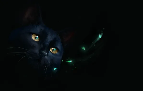 Picture lights, black cat, by SalamanDra-S