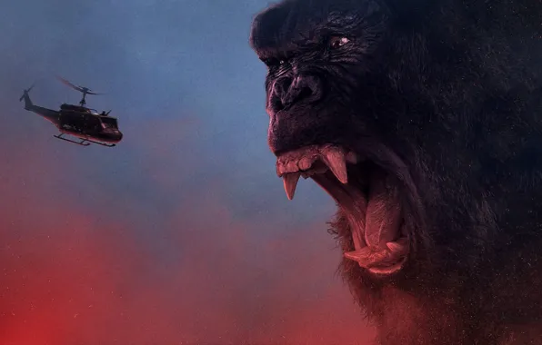 King Kong, cinema, movie, gorilla, fang, film, angry, strong