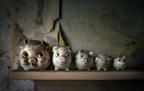 Piggy, pig, five, Five little pigs