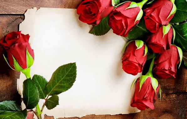 Picture sheet, paper, roses, red