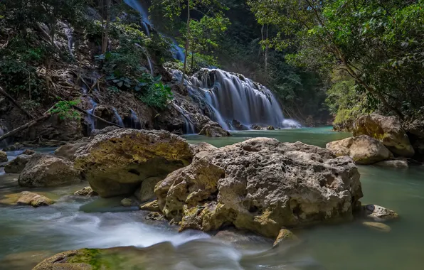 Picture forest, stones, waterfall
