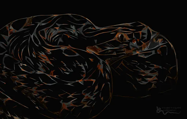 Snake, Python, black background