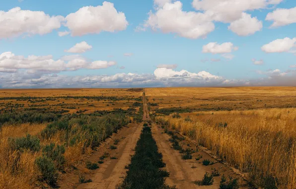 Road, the sky, clouds, field, horizon, farm