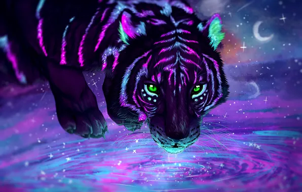 Look, stars, light, night, tiger, beauty, predator, a month
