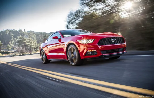 Road, machine, auto, trees, Mustang, Ford, Car, 2015