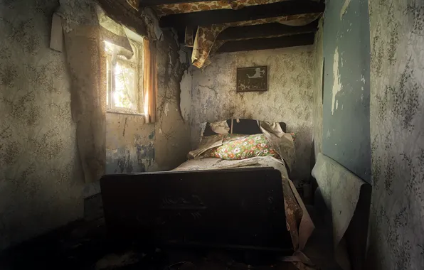 Picture room, bed, window