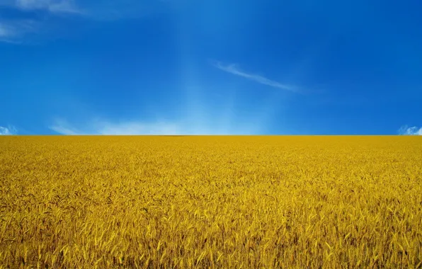 The sky, flag, Ukraine, flag