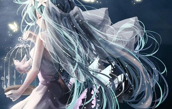 Picture girl, butterfly, flowers, bird, cell, anime, art, vocaloid