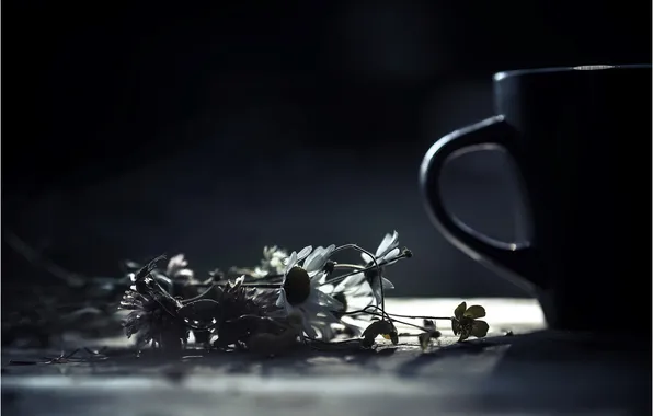 Flowers, chamomile, mug