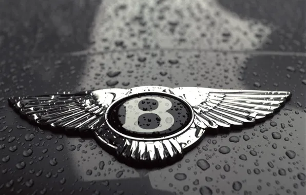 Drops, black and white, Bentley, logo