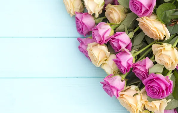 Flowers, yellow, roses, bouquet, pink, buds, pink, flowers