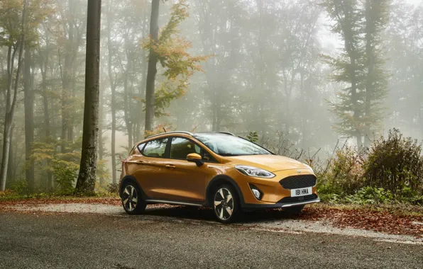 Ford, Golden, Fiesta, Active, hatchback, 2017
