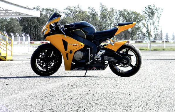 Picture Honda, Yellow, Supersport, CBR1000RR-R