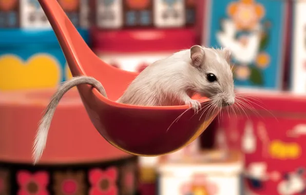 Picture white, red, spoon, ponytail, mouse-gerbil