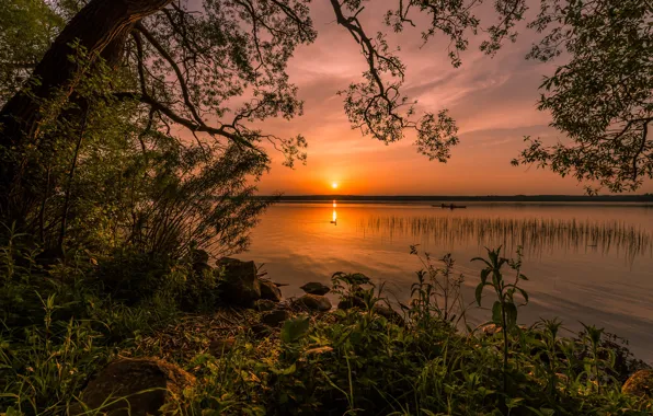 Picture the sky, trees, landscape, sunset, nature, lake, shore